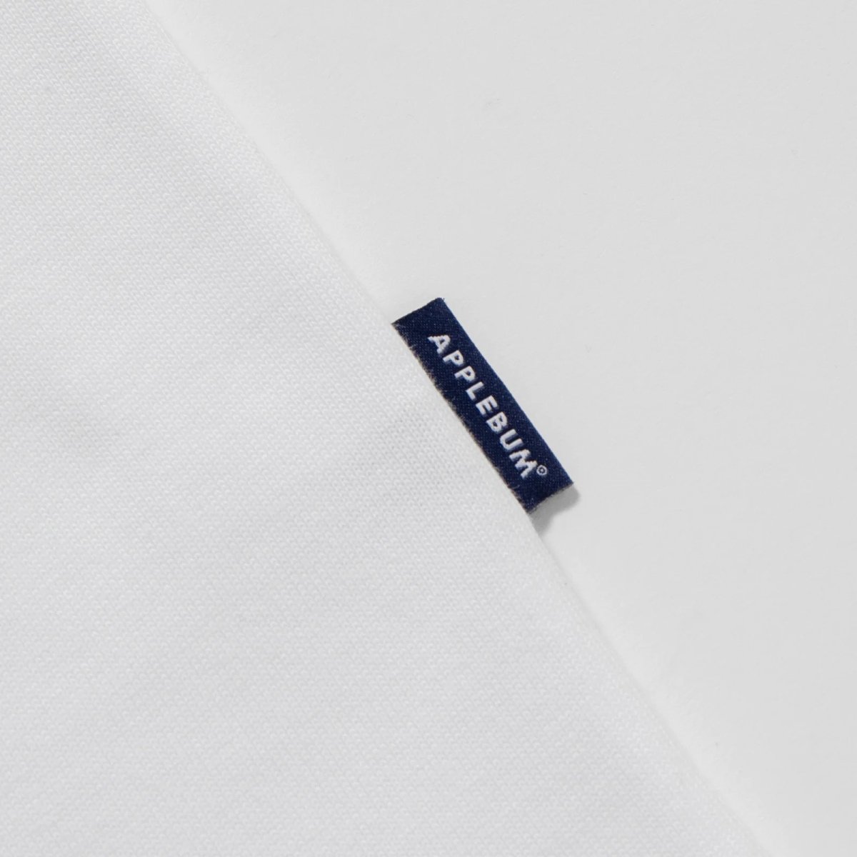 画像8: APPLEBUM(アップルバム) / “Infamous Intro” T-shirt 12oz (8)