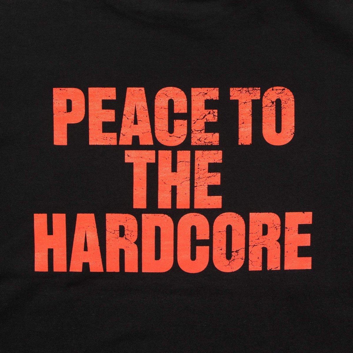 画像3: APPLEBUM(アップルバム) / "HARDCORE" T-shirt 12oz (3)