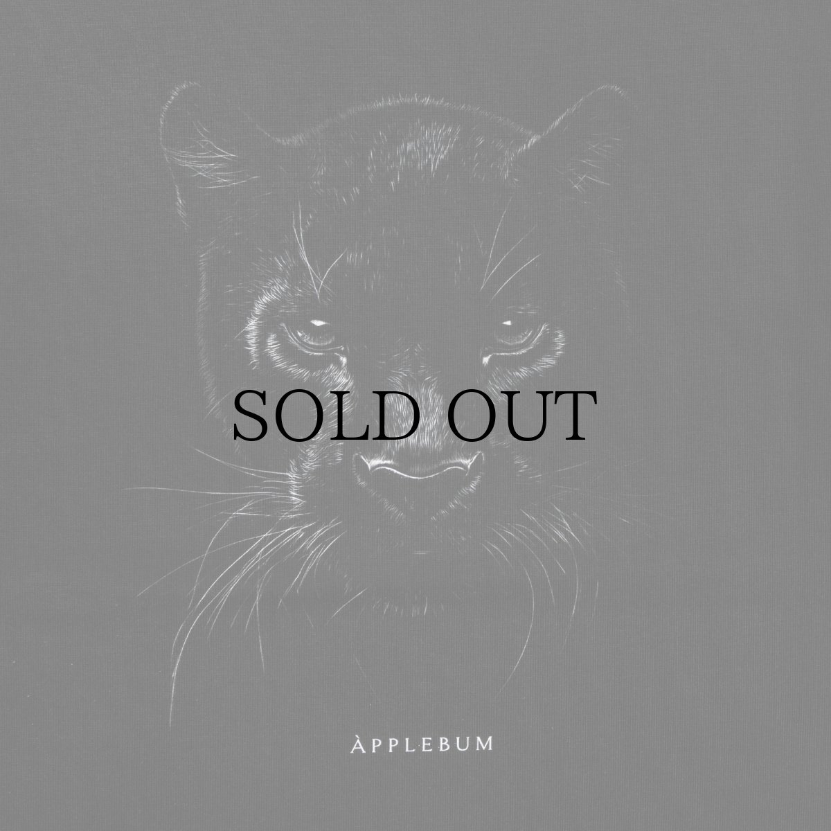 画像3: APPLEBUM(アップルバム) / "Black Panther" T-shirt 12oz (3)