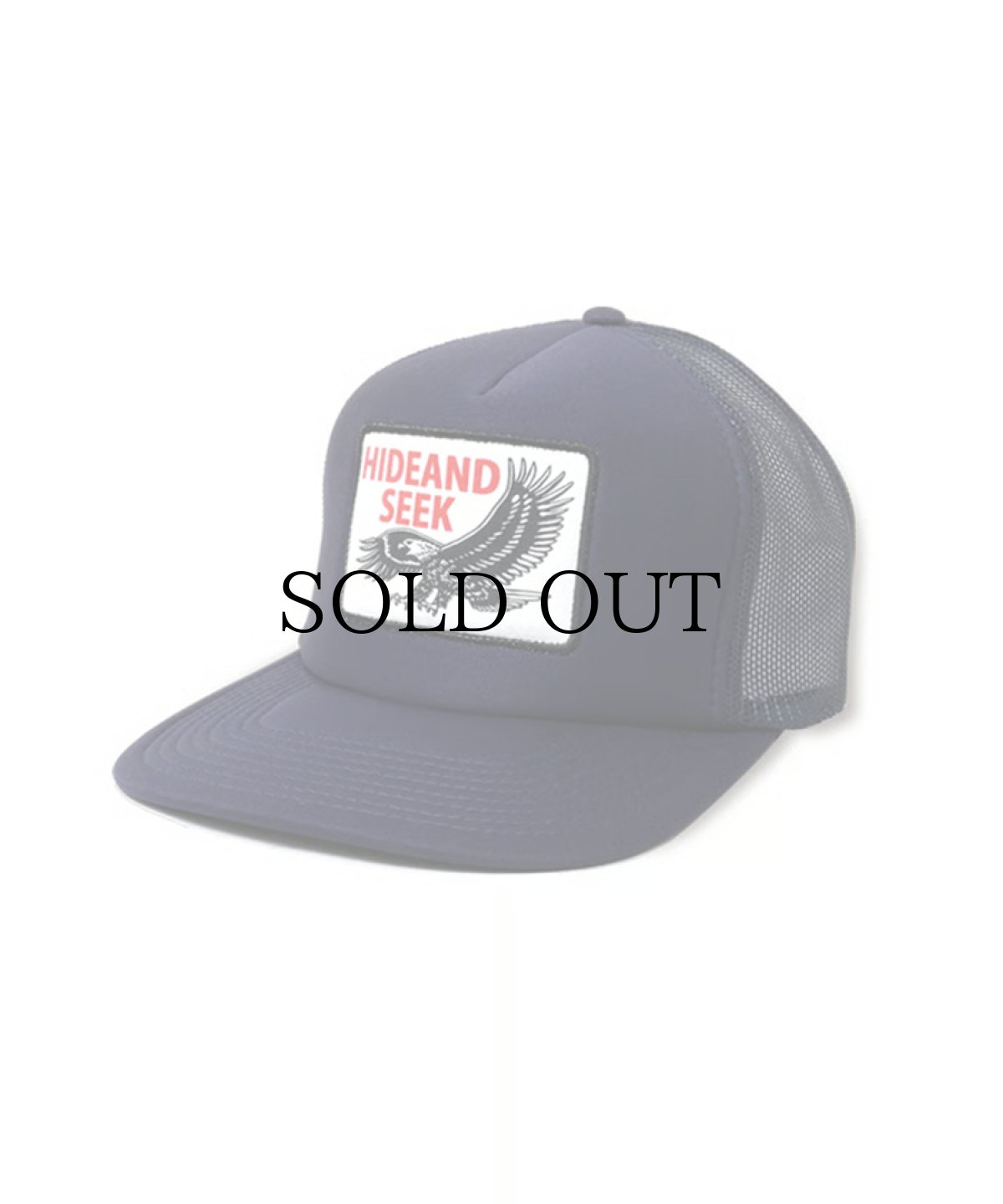 画像3: HIDEANDSEEK(ハイドアンドシーク) / Eagle Mesh CAP (3)