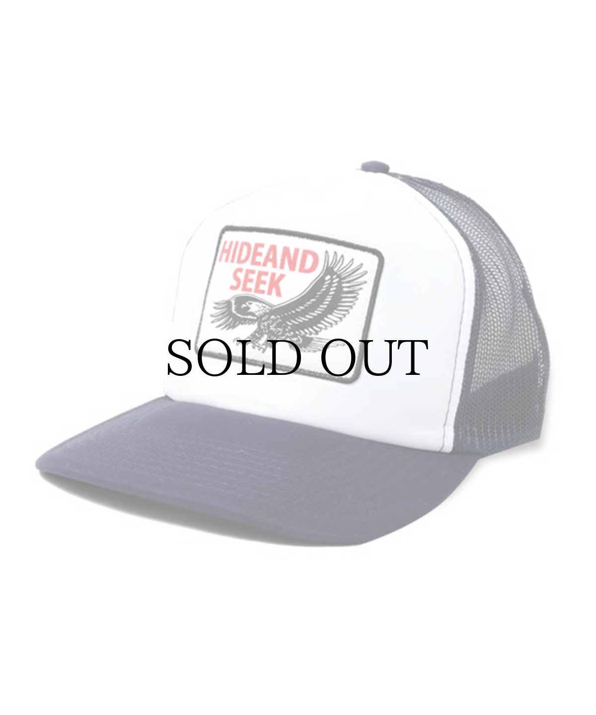 画像4: HIDEANDSEEK(ハイドアンドシーク) / Eagle Mesh CAP (4)