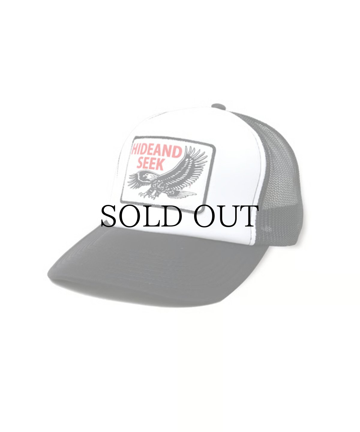 画像2: HIDEANDSEEK(ハイドアンドシーク) / Eagle Mesh CAP (2)