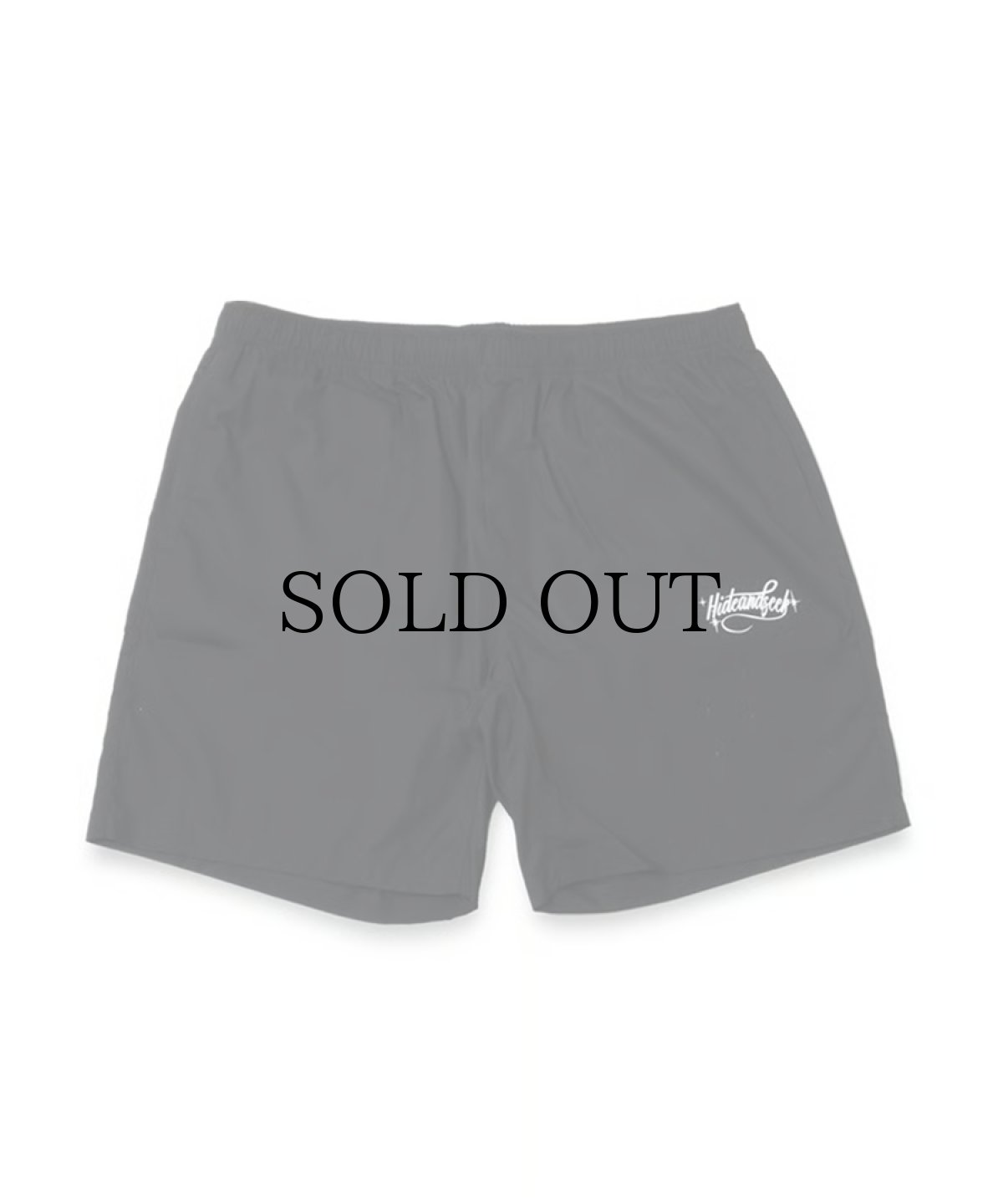 画像4: HIDEANDSEEK(ハイドアンドシーク) / Cursive Logo Beach Short (4)
