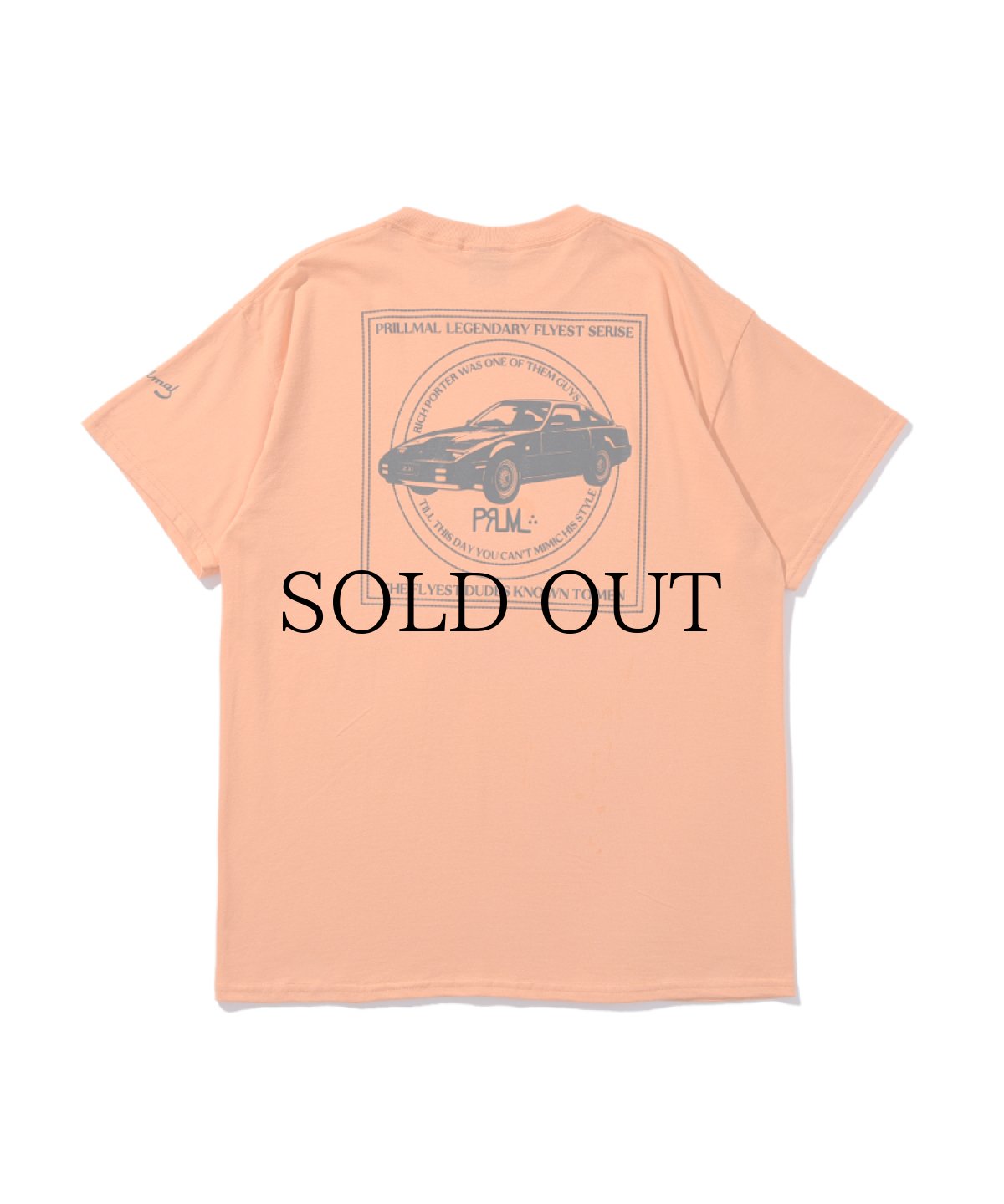 画像6: PRILLMAL(プリルマル) / The Origin Of All Fylness !!! S/S T-SHIRTS (6)