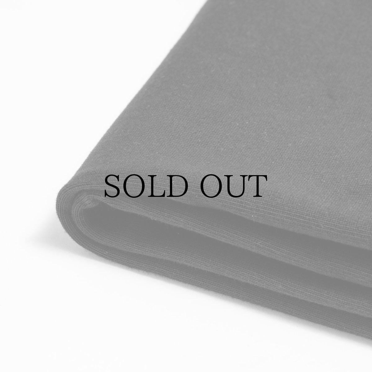 画像5: APPLEBUM(アップルバム) / “Philosophy” T-shirt 12oz (5)