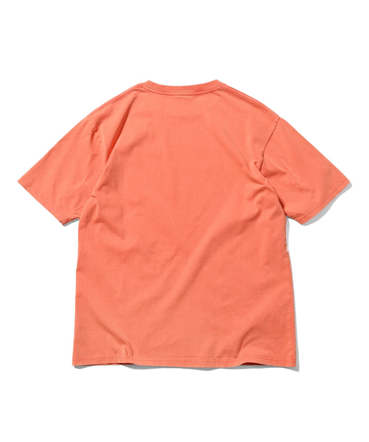画像11: LFYT(ラファイエット) / OLD ENGLISH LOGO PIGMENT DYED TEE (11)