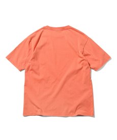 画像11: LFYT(ラファイエット) / OLD ENGLISH LOGO PIGMENT DYED TEE (11)