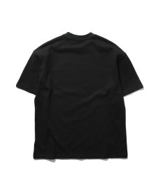 画像10: PWNED(パウンド) / 3 TONE ARCH LOGO TEE (10)