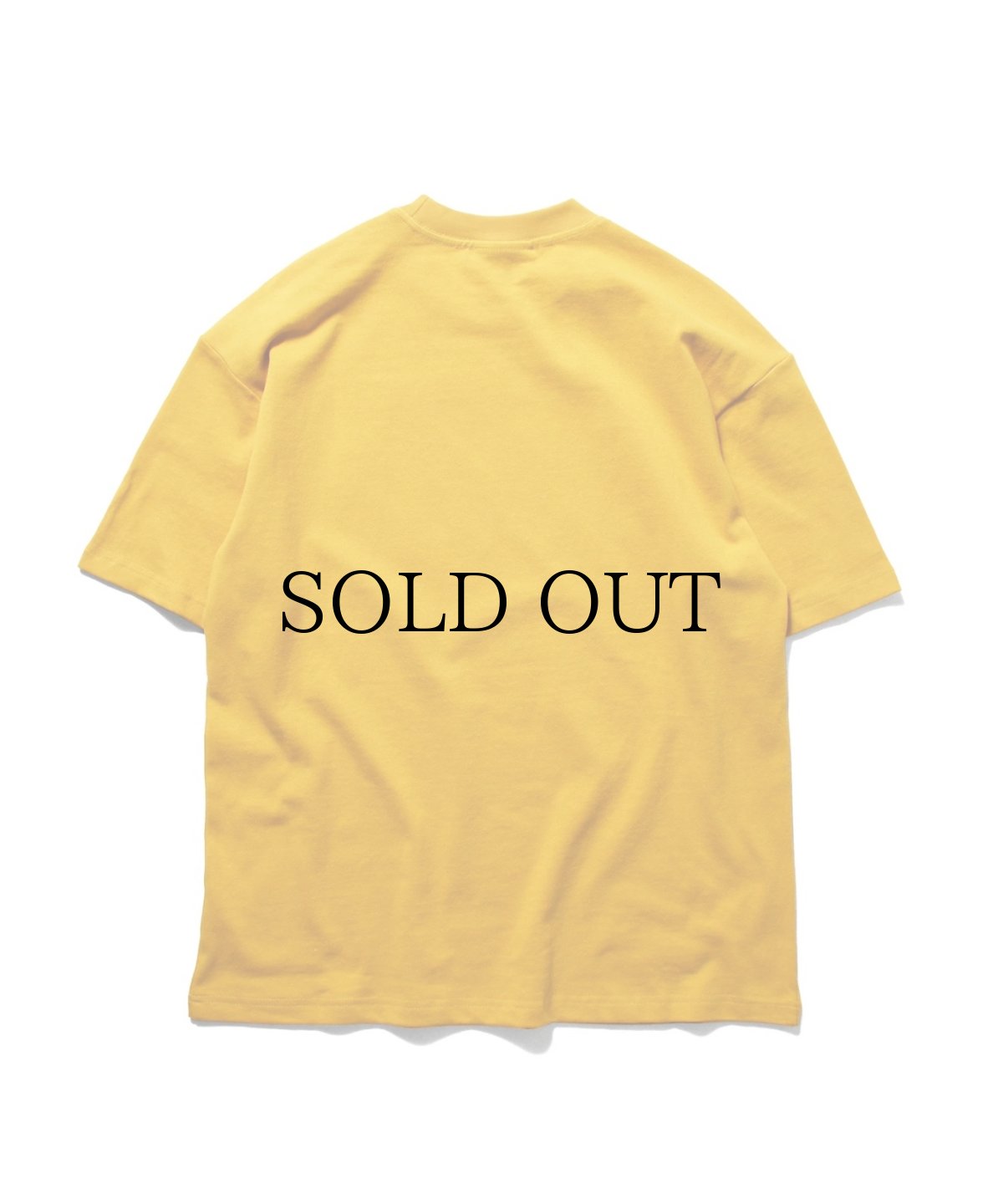画像9: PWNED(パウンド) / 3 TONE ARCH LOGO TEE (9)
