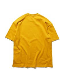 画像9: PWNED(パウンド) / 3 TONE ARCH LOGO TEE (9)