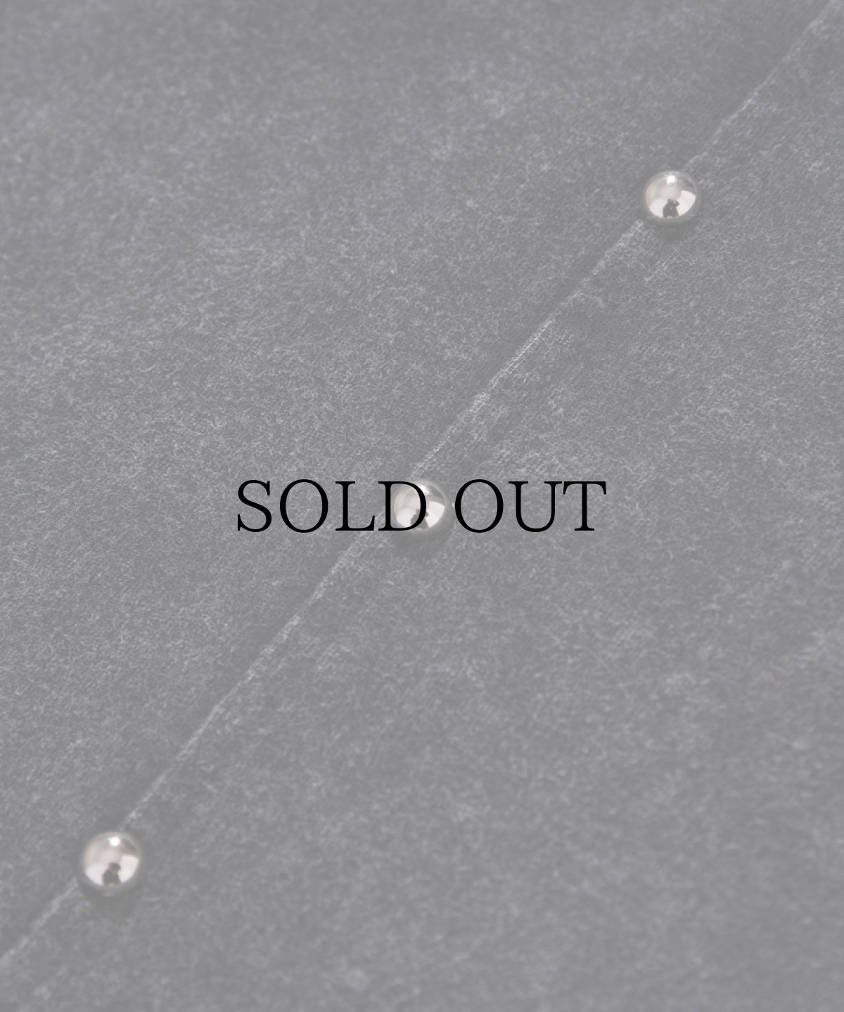 画像5: EL REIGN(エルレイン) / "FEAR" STUDS SHORT SLEEVE (5)