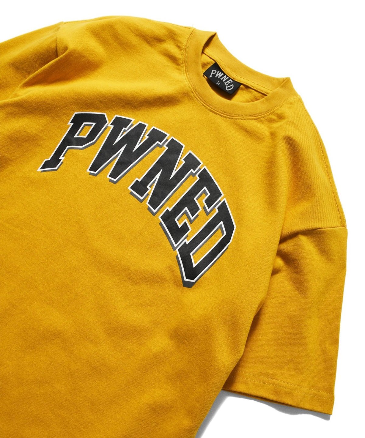 画像12: PWNED(パウンド) / 3 TONE ARCH LOGO TEE (12)