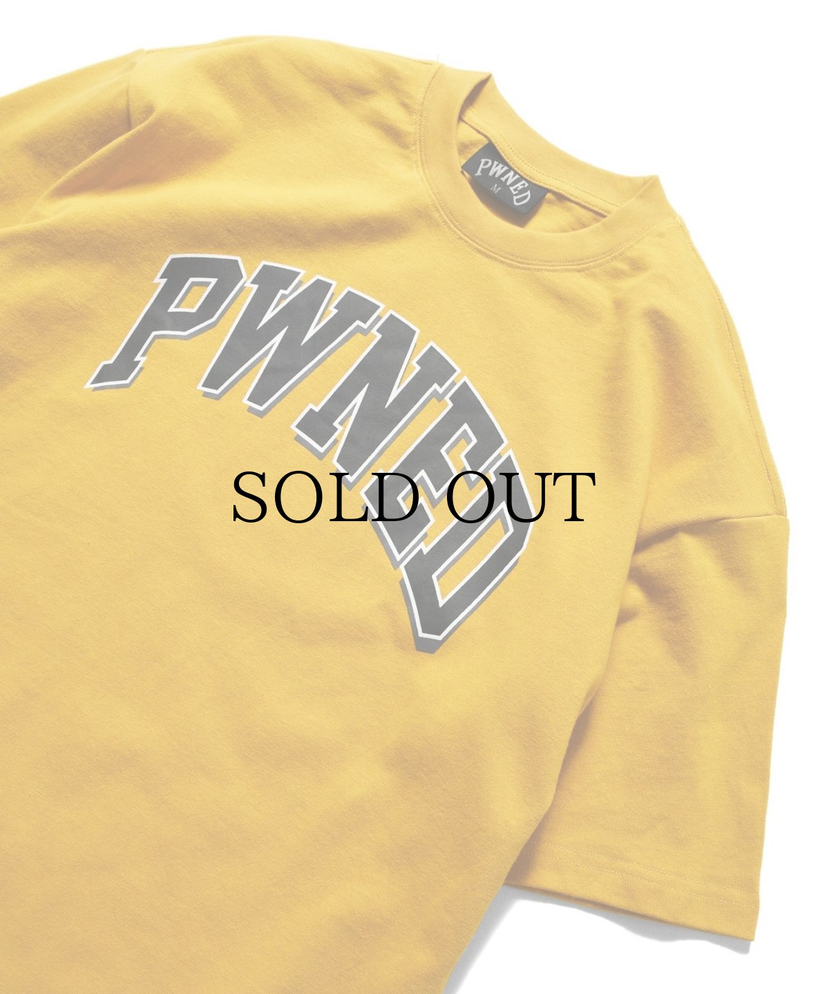 画像12: PWNED(パウンド) / 3 TONE ARCH LOGO TEE (12)