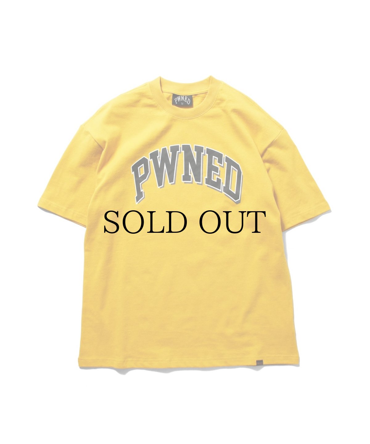 画像6: PWNED(パウンド) / 3 TONE ARCH LOGO TEE (6)