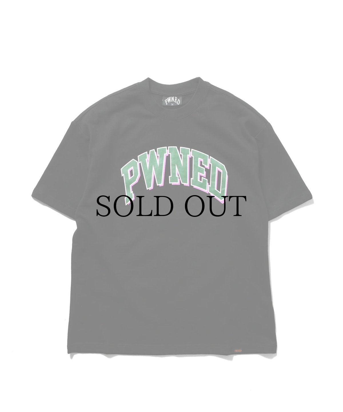 画像7: PWNED(パウンド) / 3 TONE ARCH LOGO TEE (7)