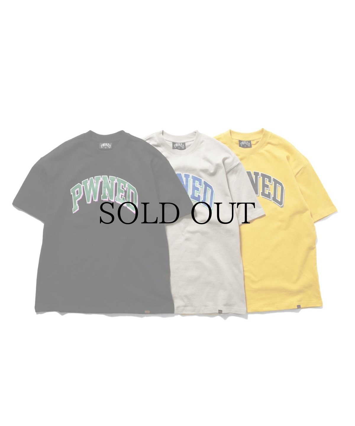 画像1: PWNED(パウンド) / 3 TONE ARCH LOGO TEE (1)
