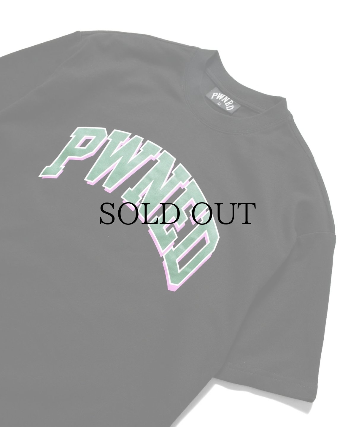 画像13: PWNED(パウンド) / 3 TONE ARCH LOGO TEE (13)