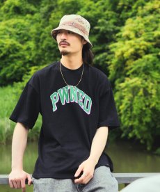 画像4: PWNED(パウンド) / 3 TONE ARCH LOGO TEE (4)