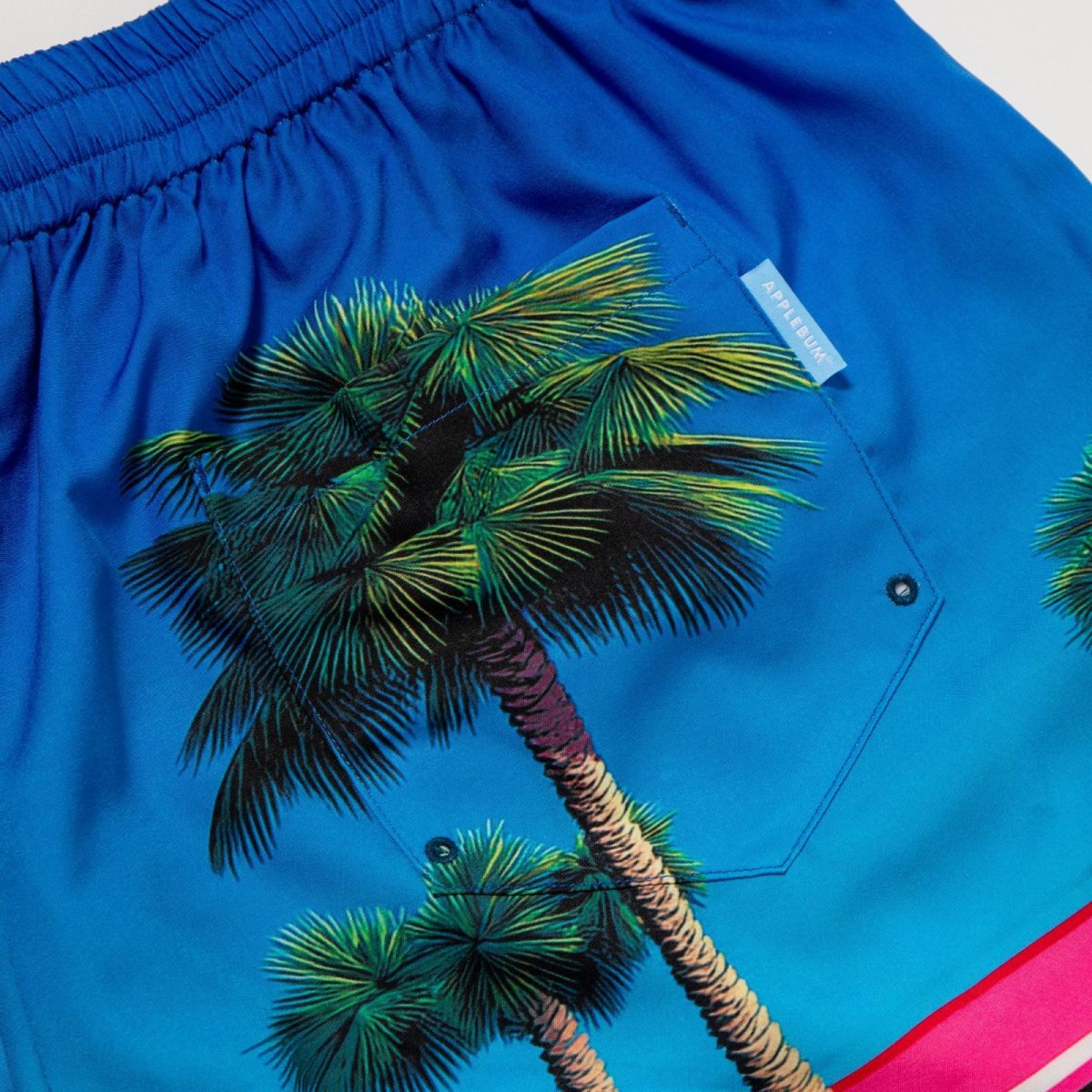 画像5: APPLEBUM(アップルバム) / "Seaside Basketball Court” Swim Shorts (5)