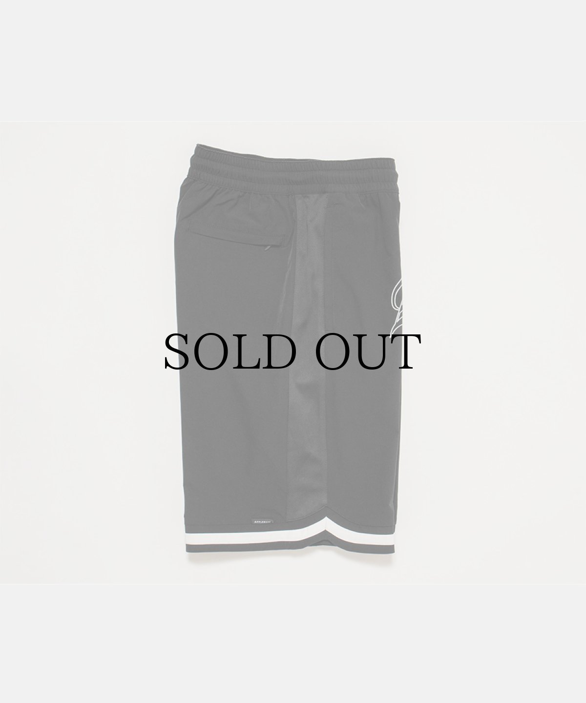 画像5: APPLEBUM(アップルバム) / Arch Logo Basketball Shorts (5)