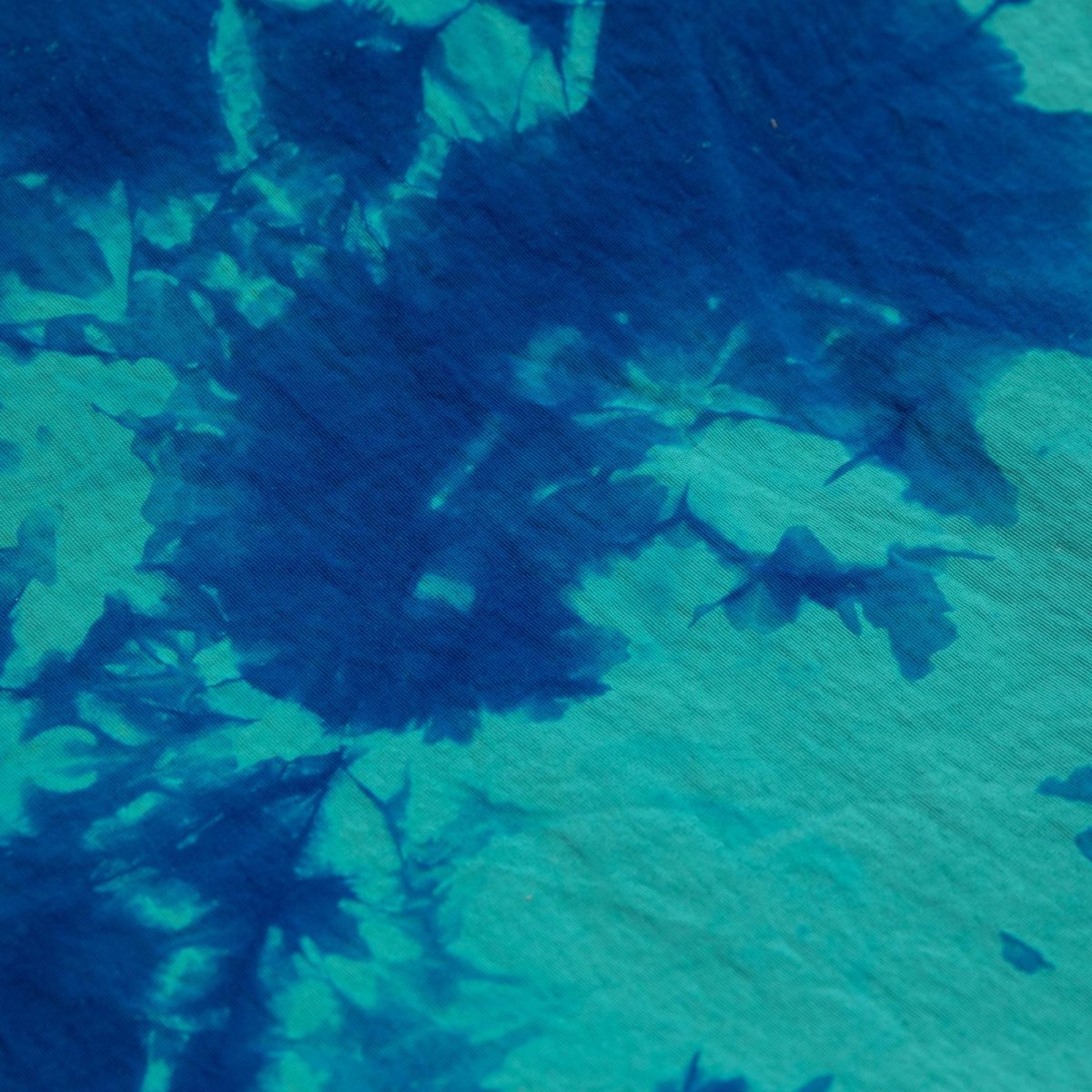 画像9: APPLEBUM(アップルバム) / Nylon Shorts [TiEDYE FREAK] (9)