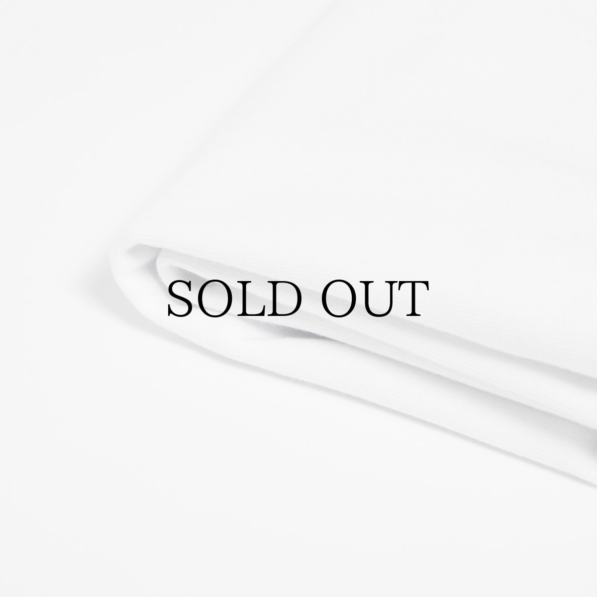 画像9: APPLEBUM(アップルバム) / “Light It Up” T-shirt 12oz (9)