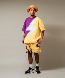 画像5: APPLEBUM(アップルバム) / Nylon Shorts [TiEDYE FREAK] (5)