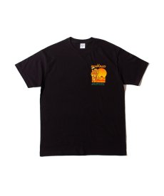 画像1: ACAPULCO GOLD(アカプルコゴールド) / WET DREAM TEE (1)