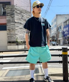画像27: BLEND(ブレンド) / NYLON SHORTS (27)