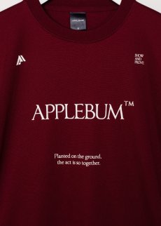 画像11: APPLEBUM(アップルバム) / Logo Dry T-shirt [SHOW AND PROVE] (11)