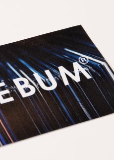 画像3: APPLEBUM(アップルバム) / ”Vinyl Box” Sticker (3)