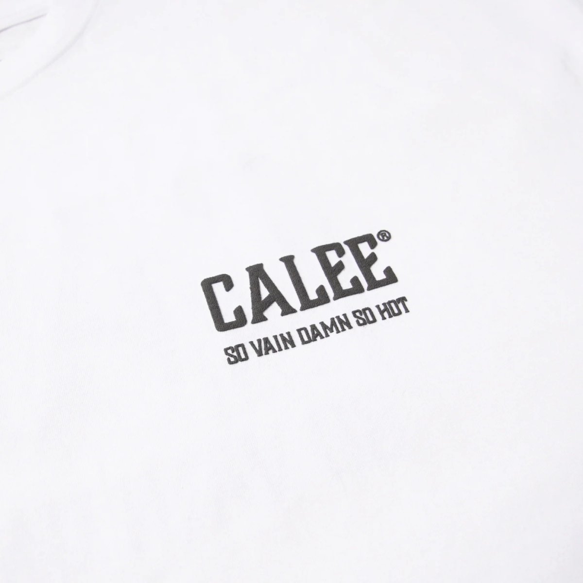 画像8: CALEE(キャリー) / × SHELTECH®︎ CALEE NATIONAL LOGO WIDE TEE (8)