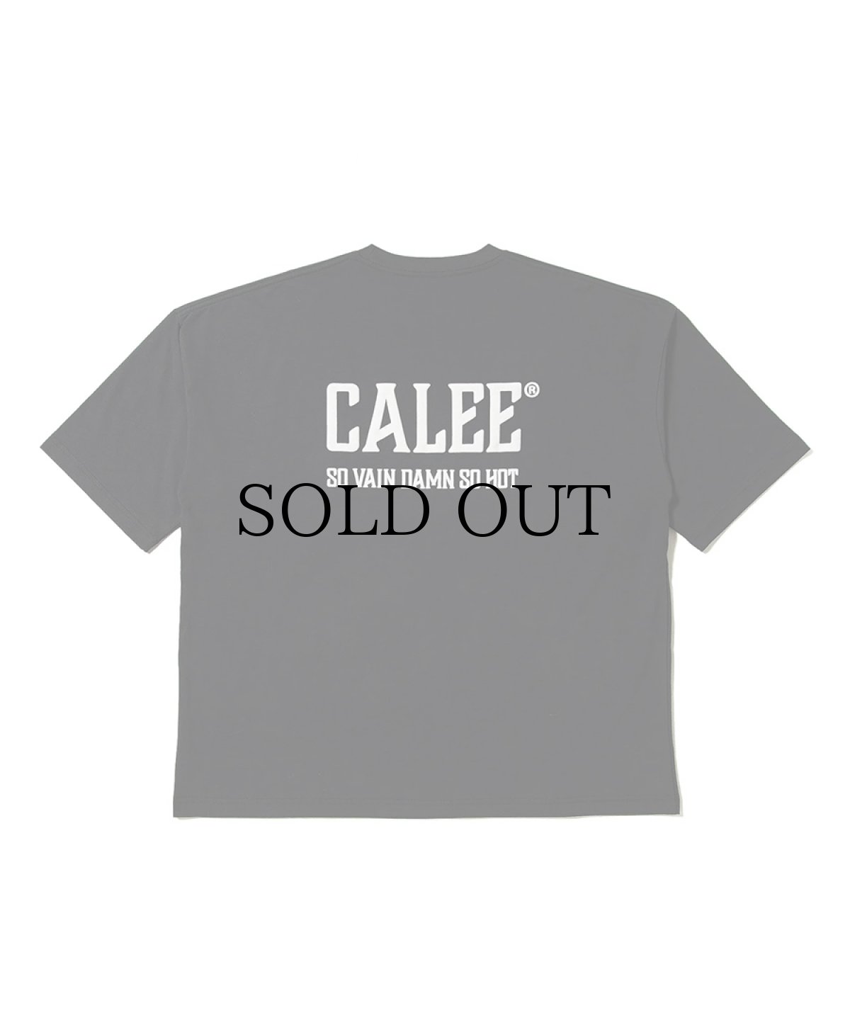 画像2: CALEE(キャリー) / × SHELTECH®︎ CALEE NATIONAL LOGO WIDE TEE (2)