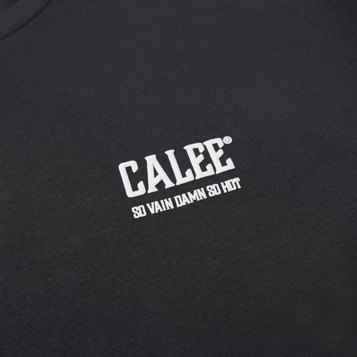 画像7: CALEE(キャリー) / × SHELTECH®︎ CALEE NATIONAL LOGO WIDE TEE (7)