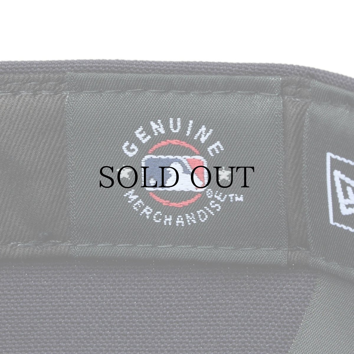 画像8: NEW ERA / 59FIFTY Duck Canvas ニューヨーク・ヤンキース (8)