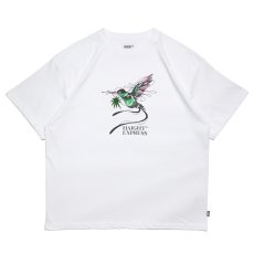 画像2: HAIGHT / EXPRESS Tee (2)