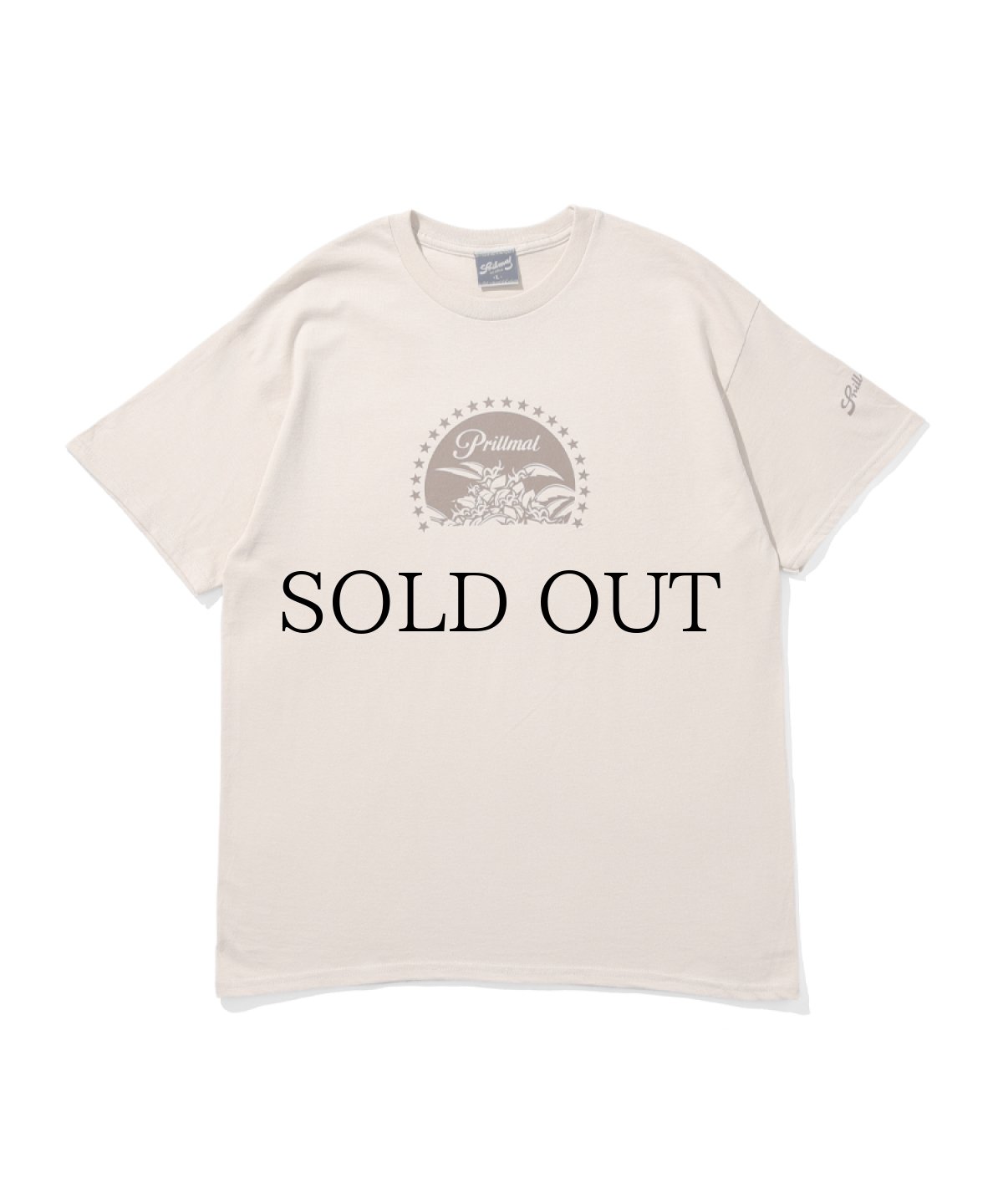 画像2: PRILLMAL(プリルマル) / CHILL MOUNT !!! S/S T-SHIRTS (2)