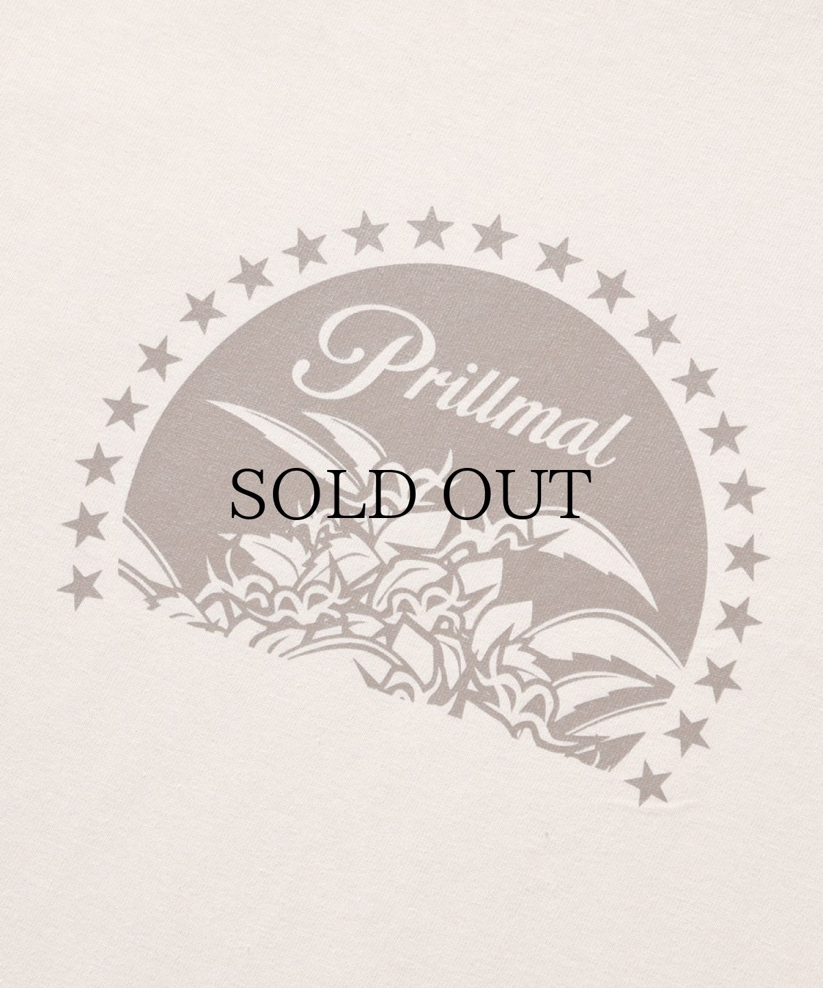 画像8: PRILLMAL(プリルマル) / CHILL MOUNT !!! S/S T-SHIRTS (8)