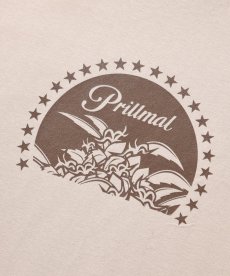 画像8: PRILLMAL(プリルマル) / CHILL MOUNT !!! S/S T-SHIRTS (8)