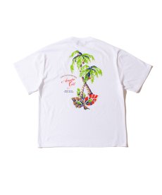 画像2: ACAPULCO GOLD(アカプルコゴールド) / PALM TREES TEE (2)