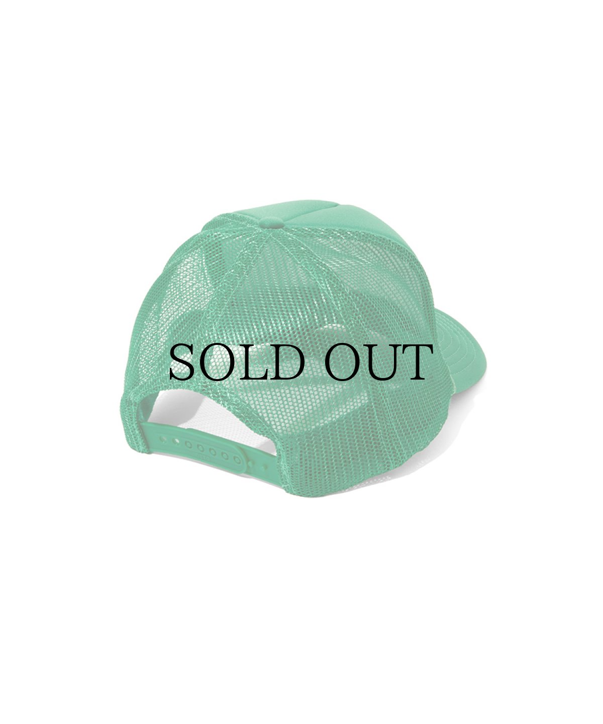 画像5: HIDEANDSEEK(ハイドアンドシーク) / HDNSK Mesh CAP (5)