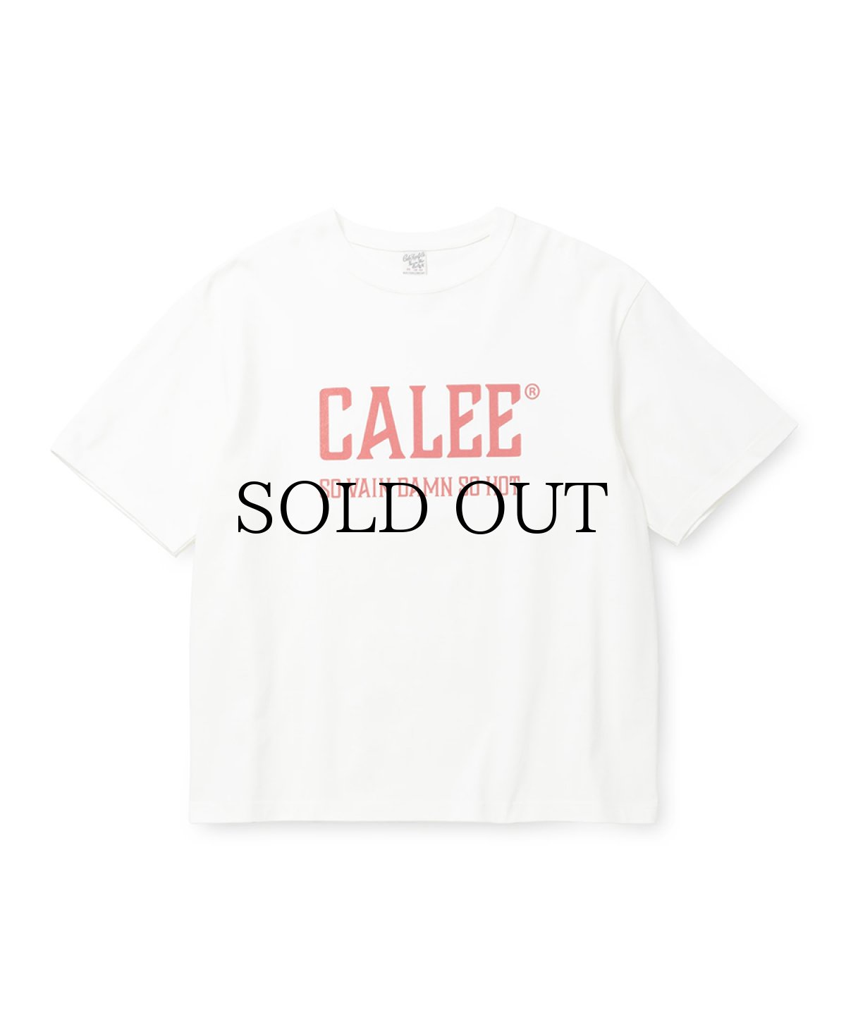画像1: CALEE(キャリー) / VINTAGE TYPE CALEE NATIONAL LOGO S/S TEE (1)