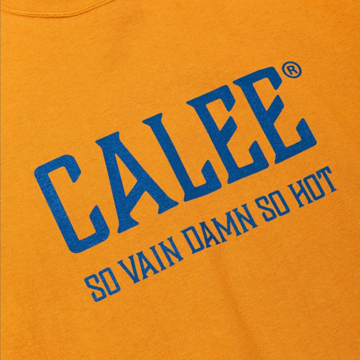 画像6: CALEE(キャリー) / VINTAGE TYPE CALEE NATIONAL LOGO S/S TEE (6)