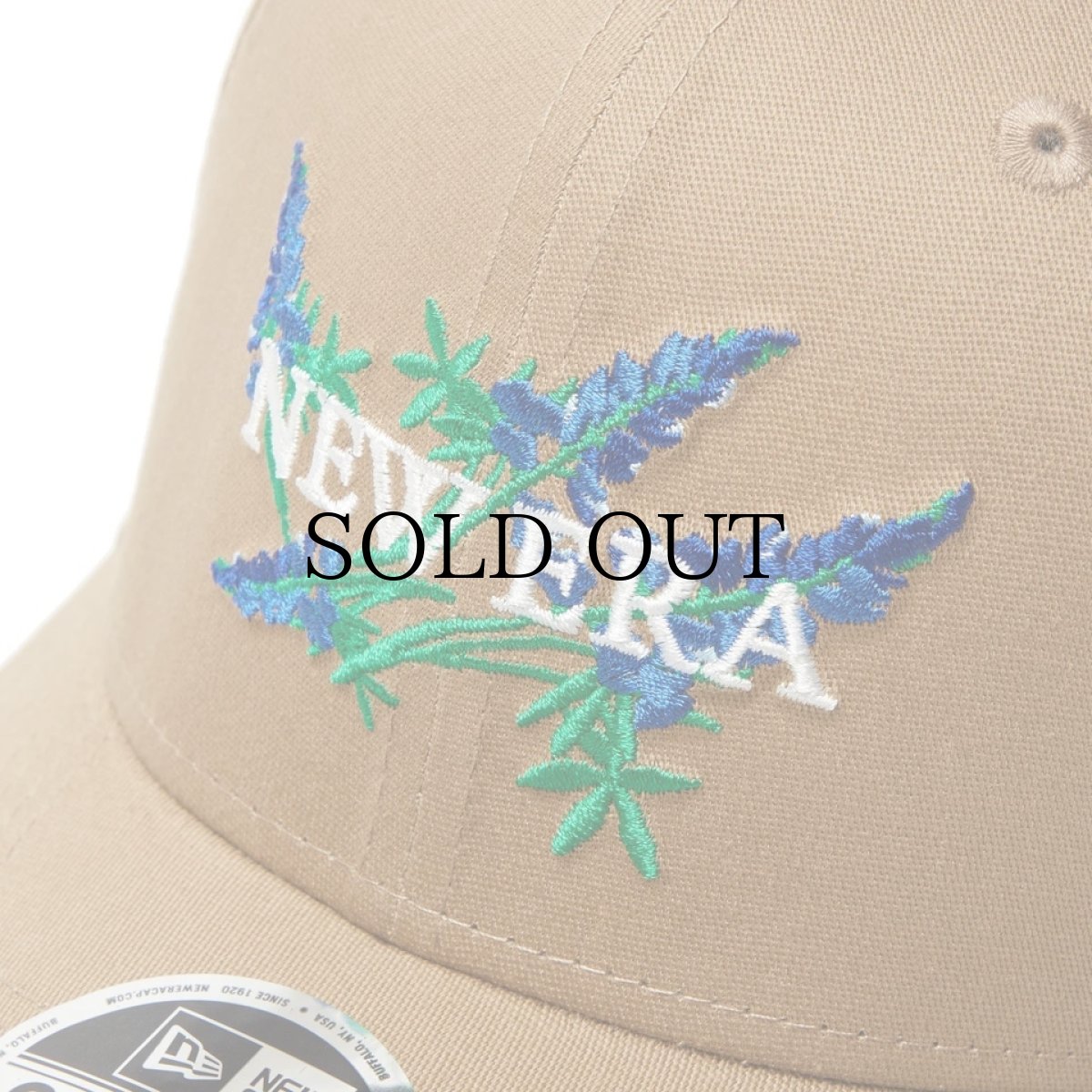 画像6: NEW ERA / 9FIFTY ストレッチスナップ Stretch Series ブルーボネット (6)