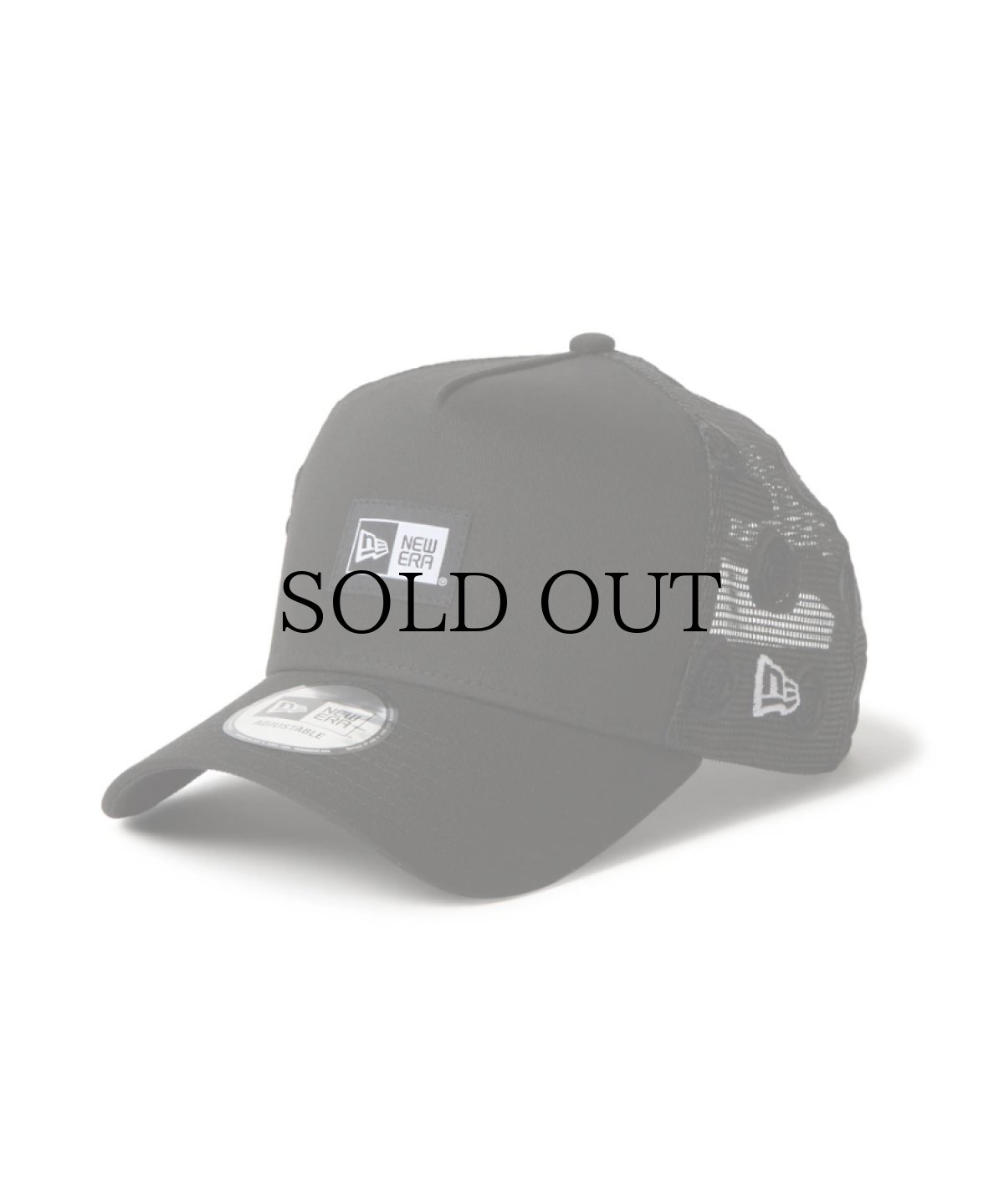 画像1: NEW ERA / 9FORTY A-Frame トラッカー Rose Trucker ボックスロゴ (1)