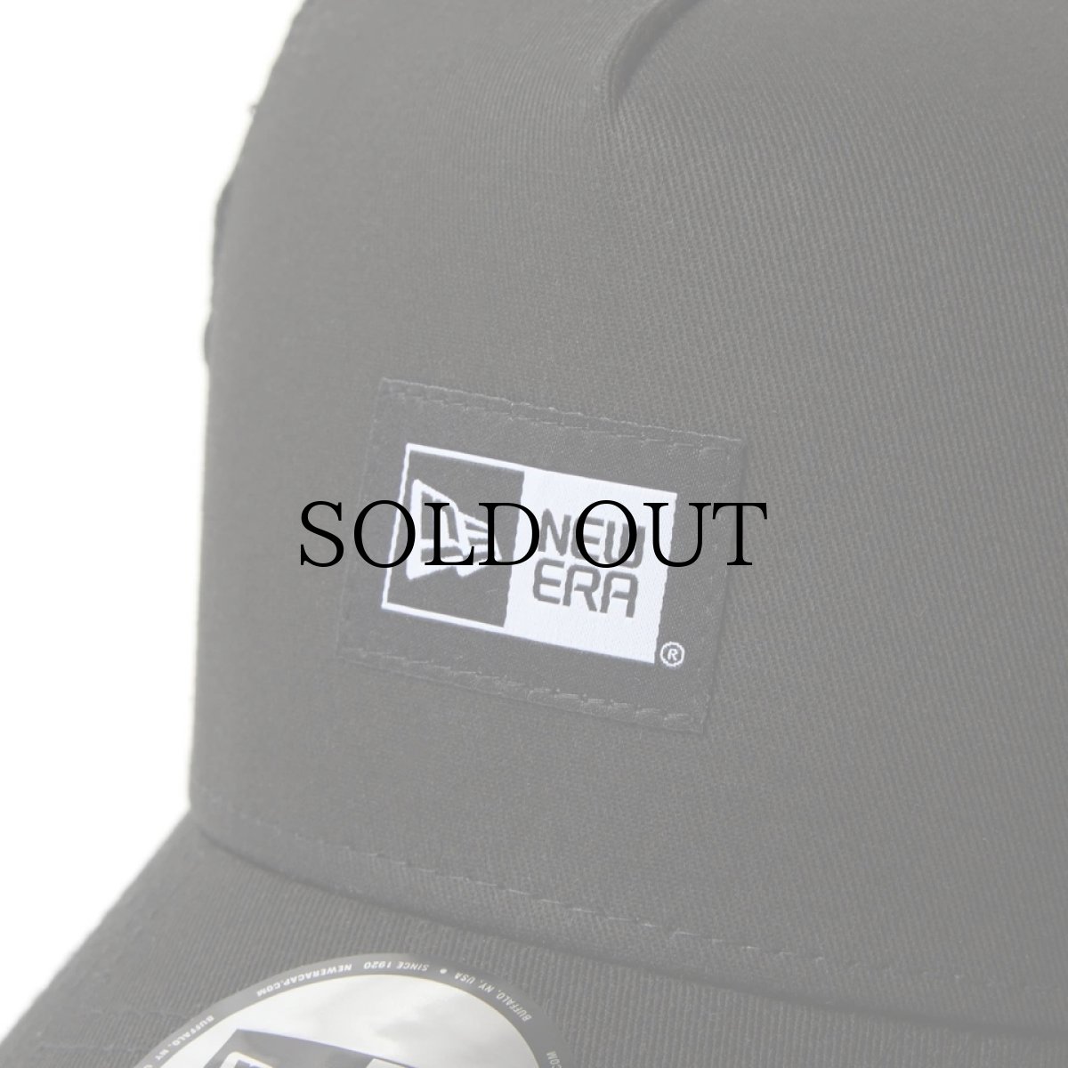 画像5: NEW ERA / 9FORTY A-Frame トラッカー Rose Trucker ボックスロゴ (5)