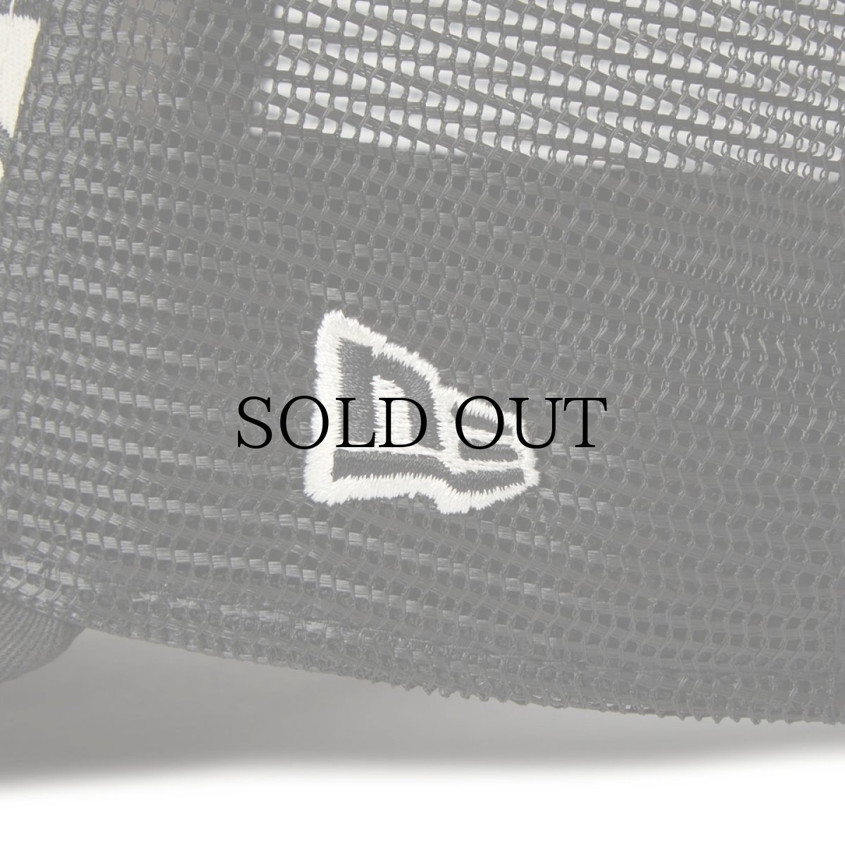 画像6: NEW ERA / 9FORTY A-Frame トラッカー Rose Trucker (6)