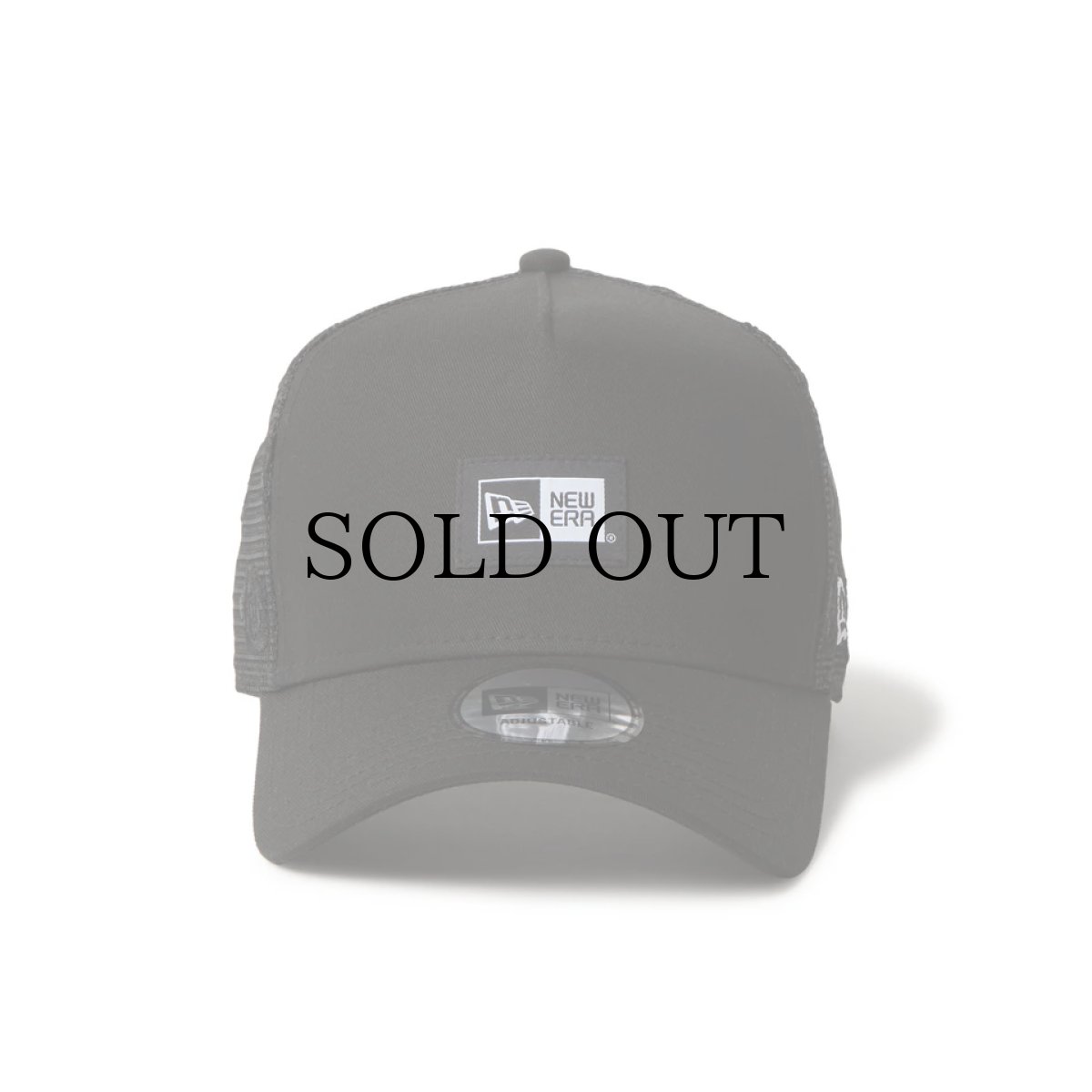 画像2: NEW ERA / 9FORTY A-Frame トラッカー Rose Trucker ボックスロゴ (2)