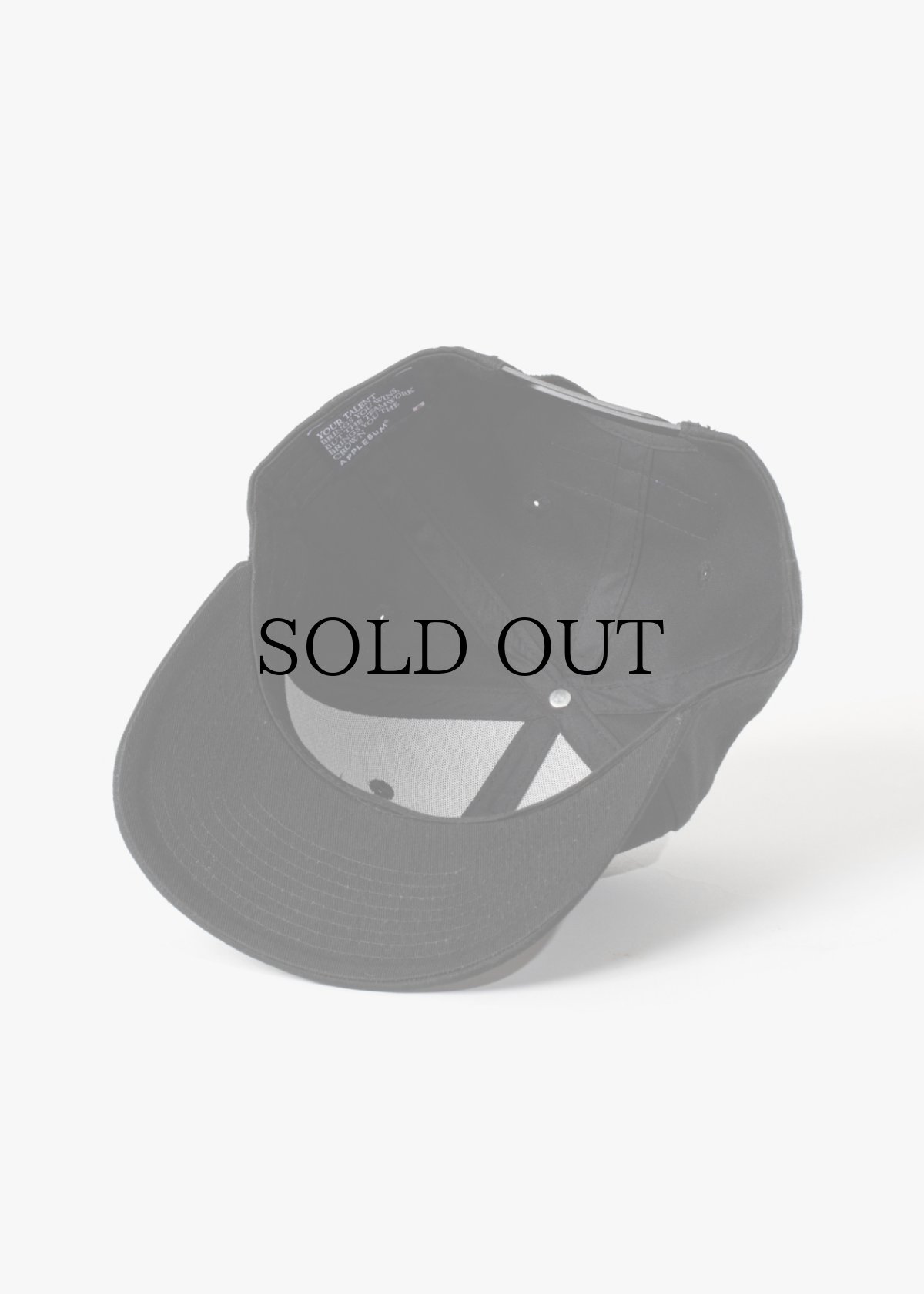 画像5: APPLEBUM(アップルバム) / “DEATH ROW RECORDS” BB CAP (5)