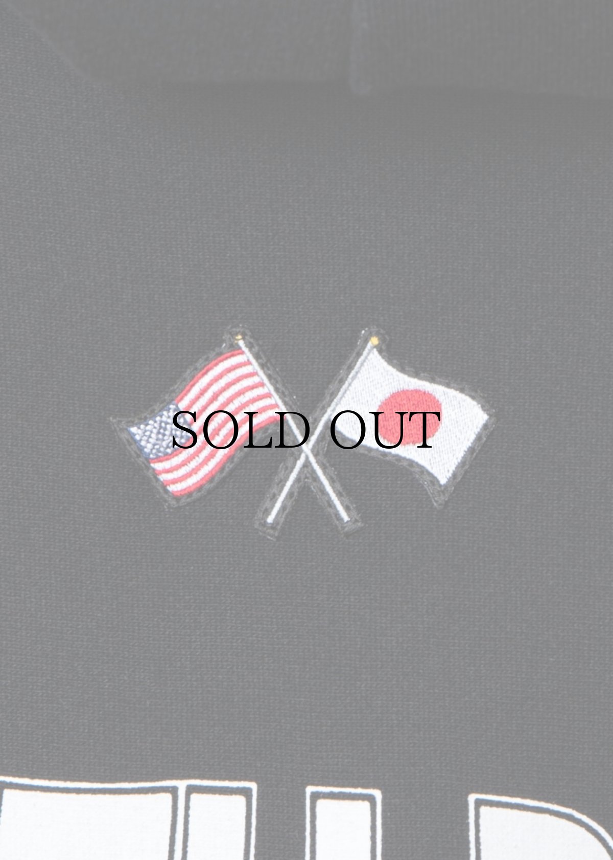 画像4: APPLEBUM(アップルバム) / “DEATH ROW RECORDS” SWEAT HOODIE (4)